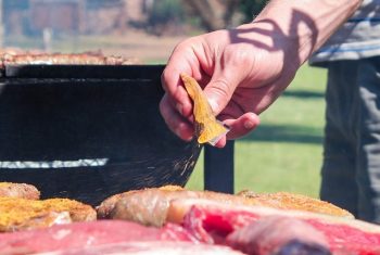 braai-south-africa-meat-2572725 braai, south africa, meat-2572725.jpg